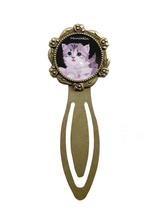 猫 栞