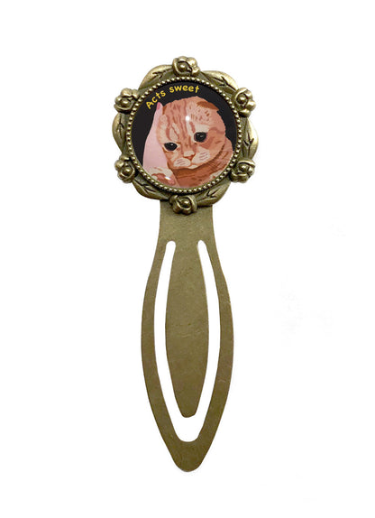 猫 栞