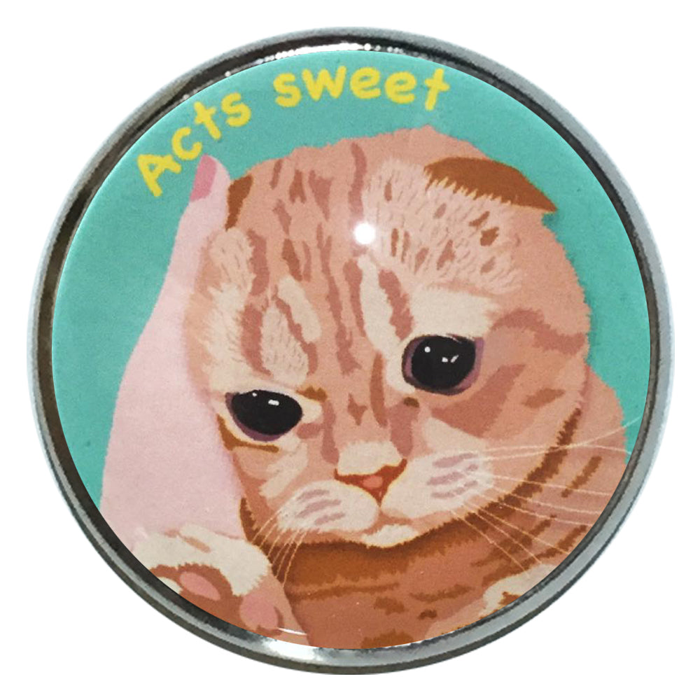 ピンバッジ 猫
