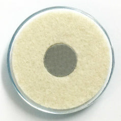 マグネット 犬 toy poodle 4 犬 メモクリップ マグネット 犬クリップ トイプードル